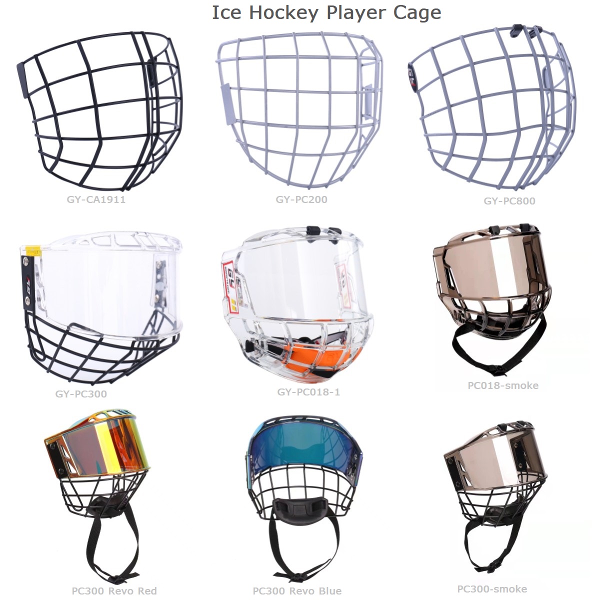 Zein ondo informatuta zaude Izotz Hockey Kaiolaren Babesari buruz?